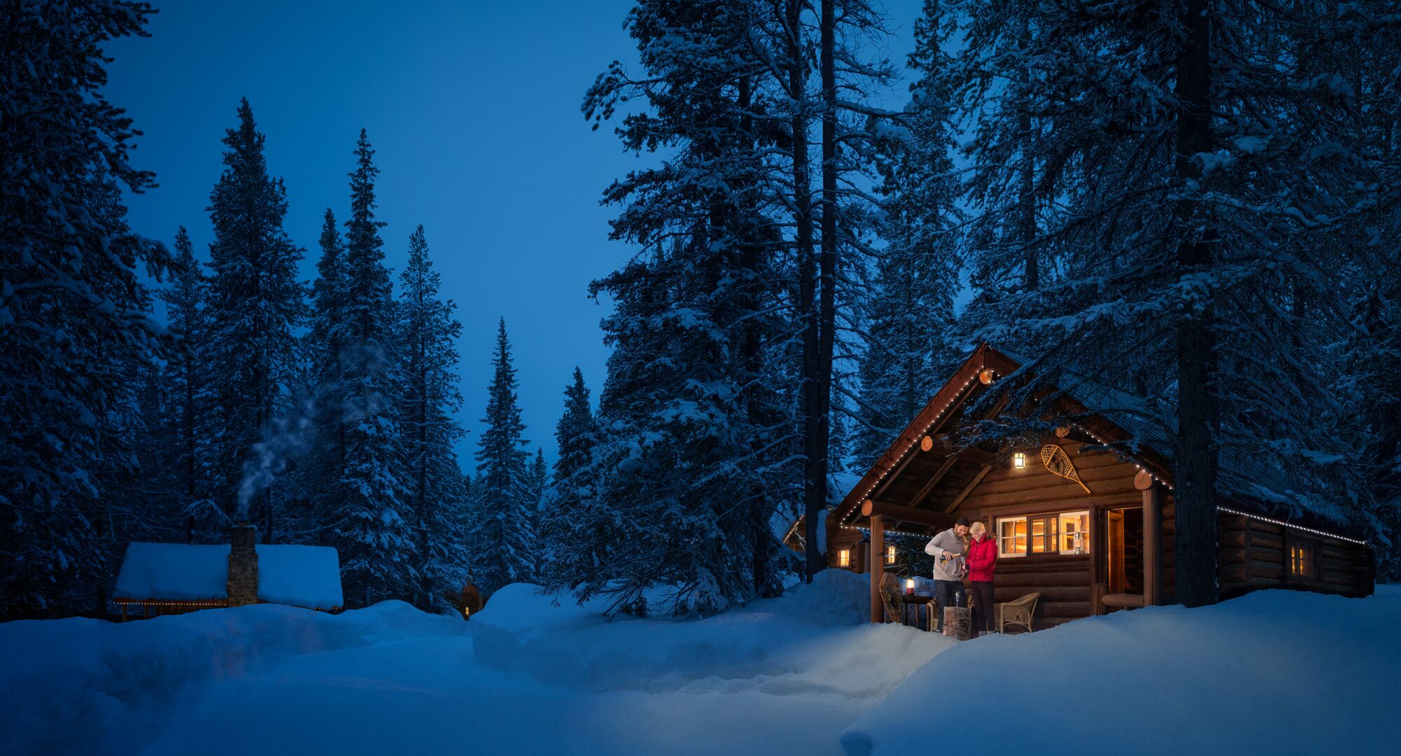 A beautiful trees covers with a snow in Storm Mountain Lodge.