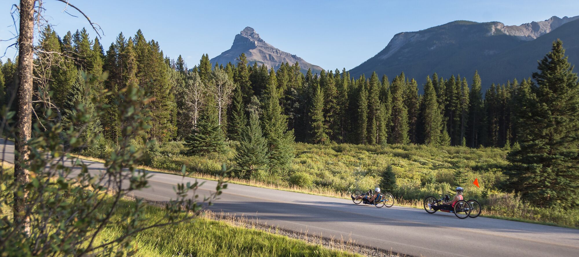 Adult group of friends cycling the Bow Valley Parkway during the summer