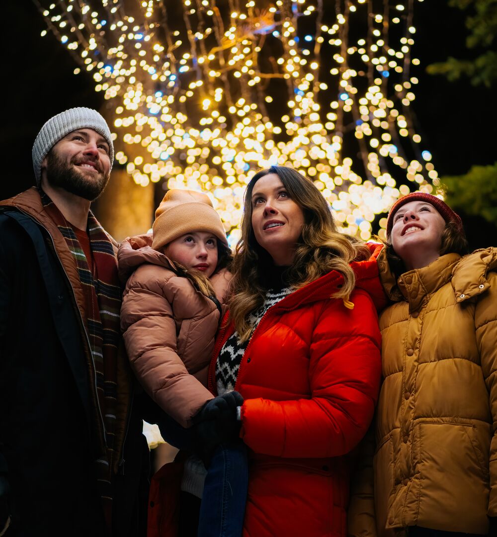 In Search of Christmas Spirit