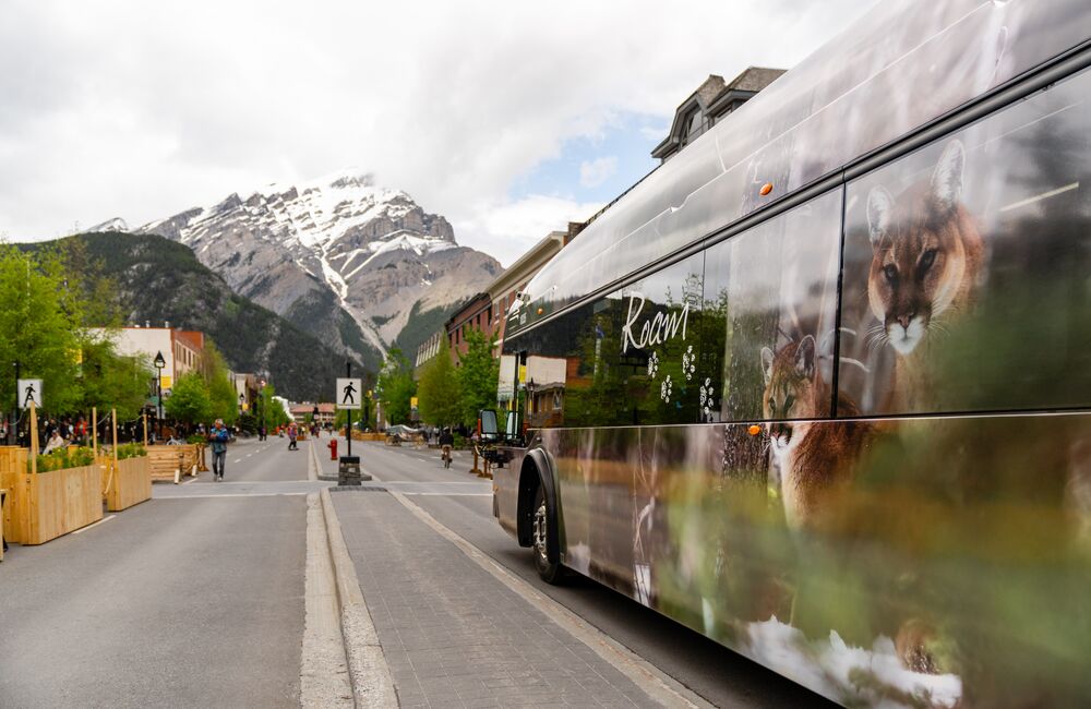 A Roam Transit bus drives down Banff Ave in the summer towards Cascade Mountain.