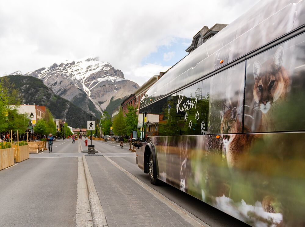 A Roam Transit bus drives down Banff Ave in the summer towards Cascade Mountain.