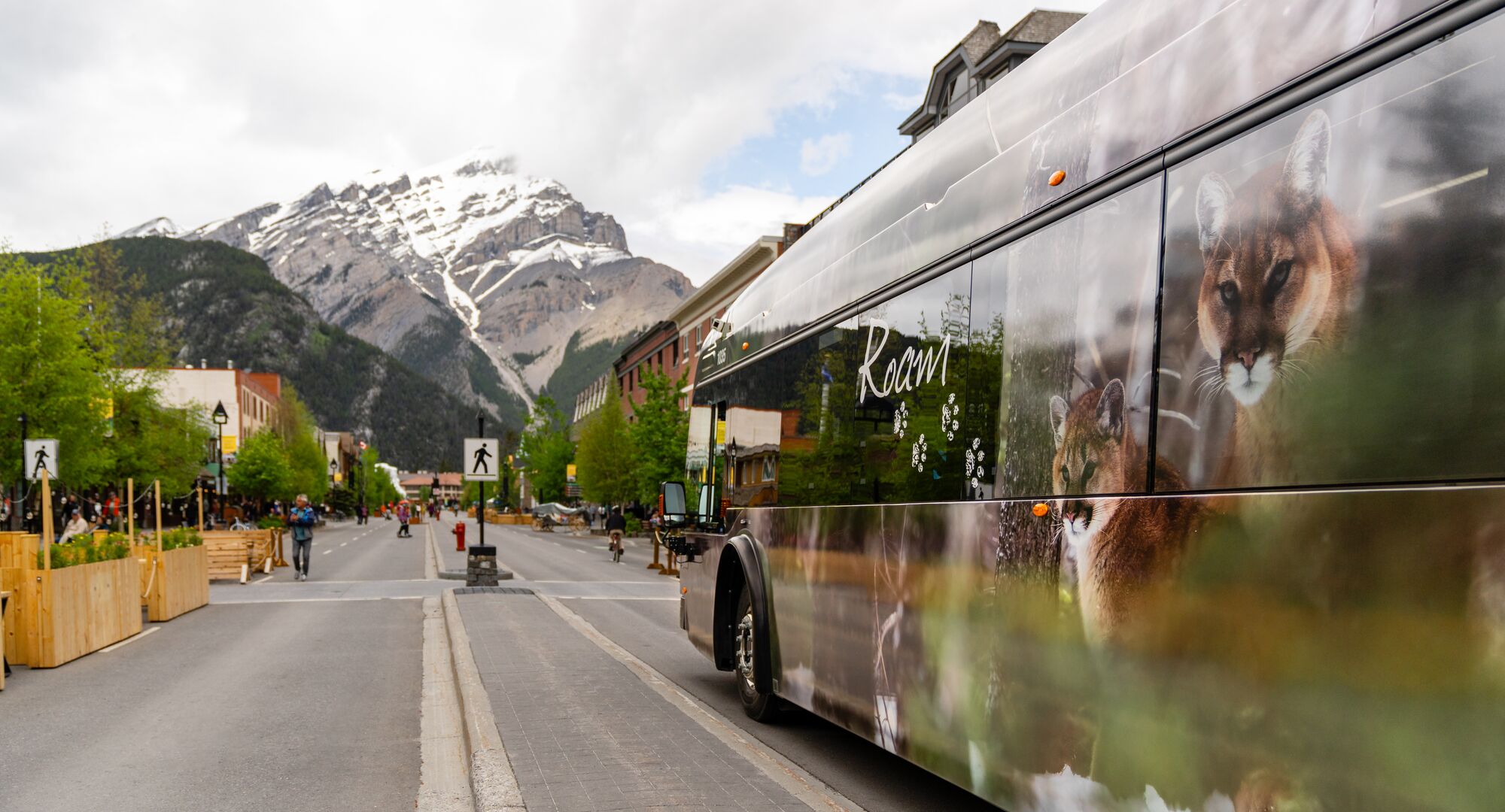 A Roam Transit bus drives down Banff Ave in the summer towards Cascade Mountain.