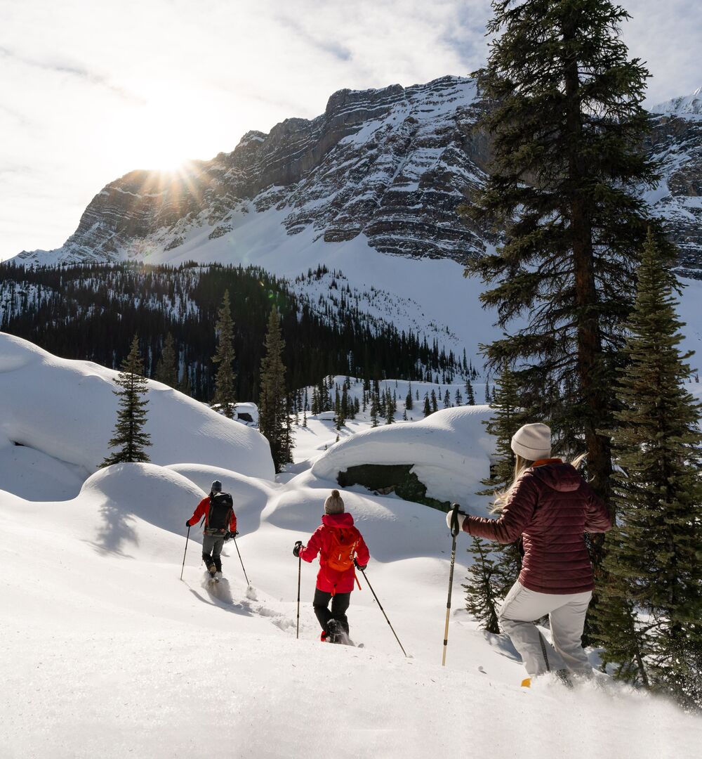 Group of people on a guided snowshoeing tour in the Lake Louise area
