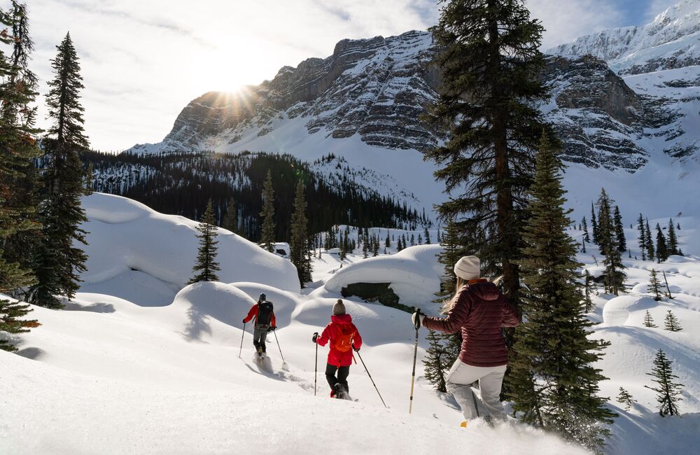 Group of people on a guided snowshoeing tour in the Lake Louise area