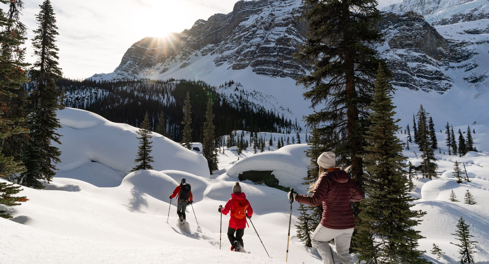 Group of people on a guided snowshoeing tour in the Lake Louise area