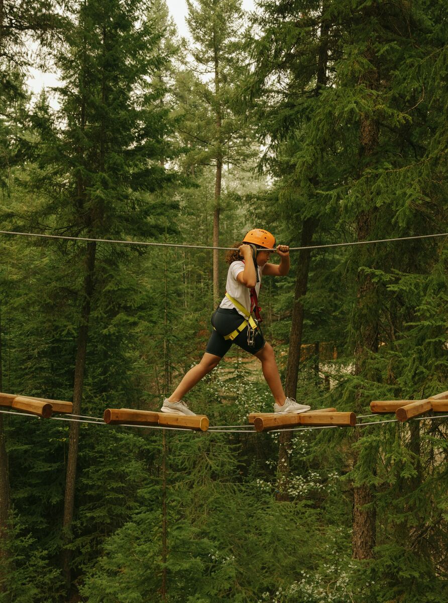 Goldmire Bridge アーティストプルーフ Goldmire Bridge アーティスト