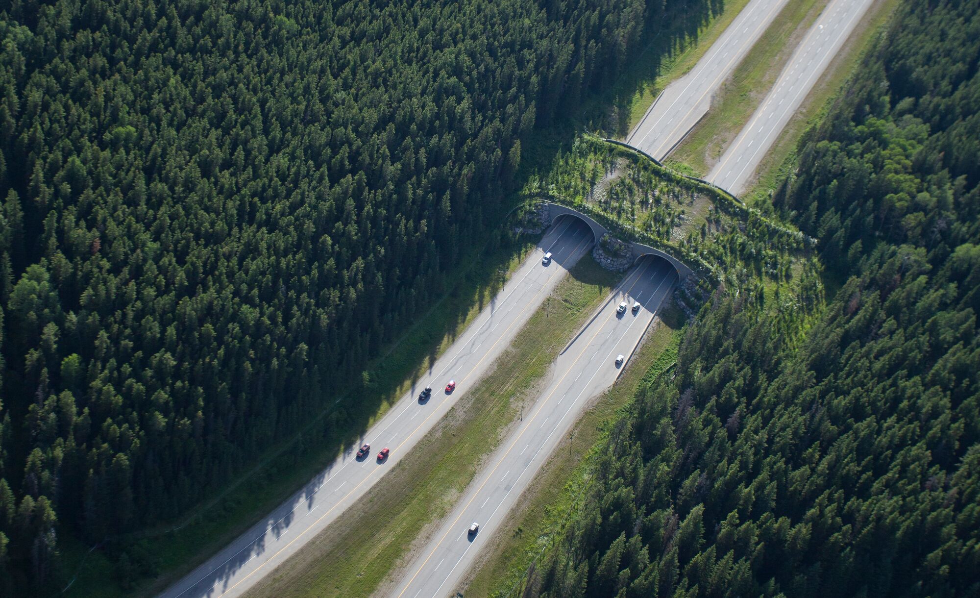 Aerial view of Highway 1 in Banff National Park