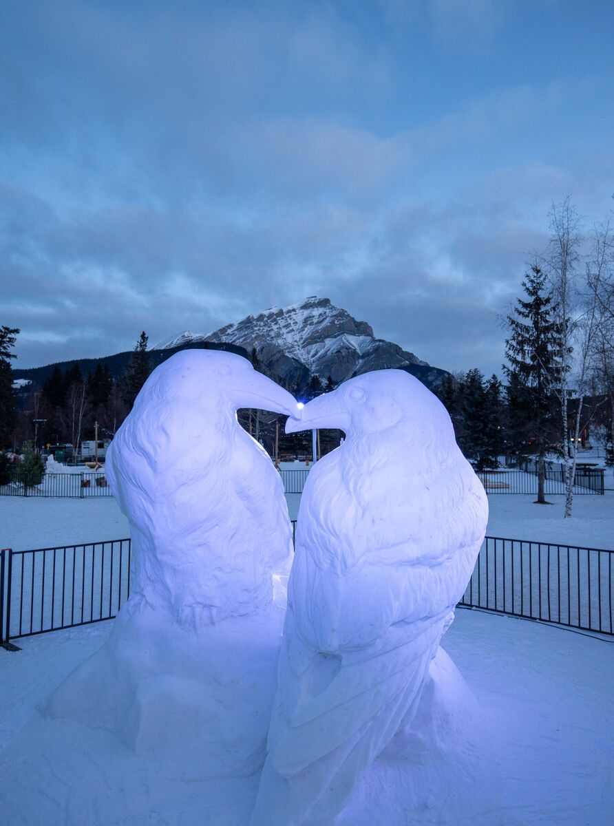 An illuminated snow sculpture of two ravens touching beaks in Central park in the Banff townsite during the Snow Days festival in Banff and Lake Louise.