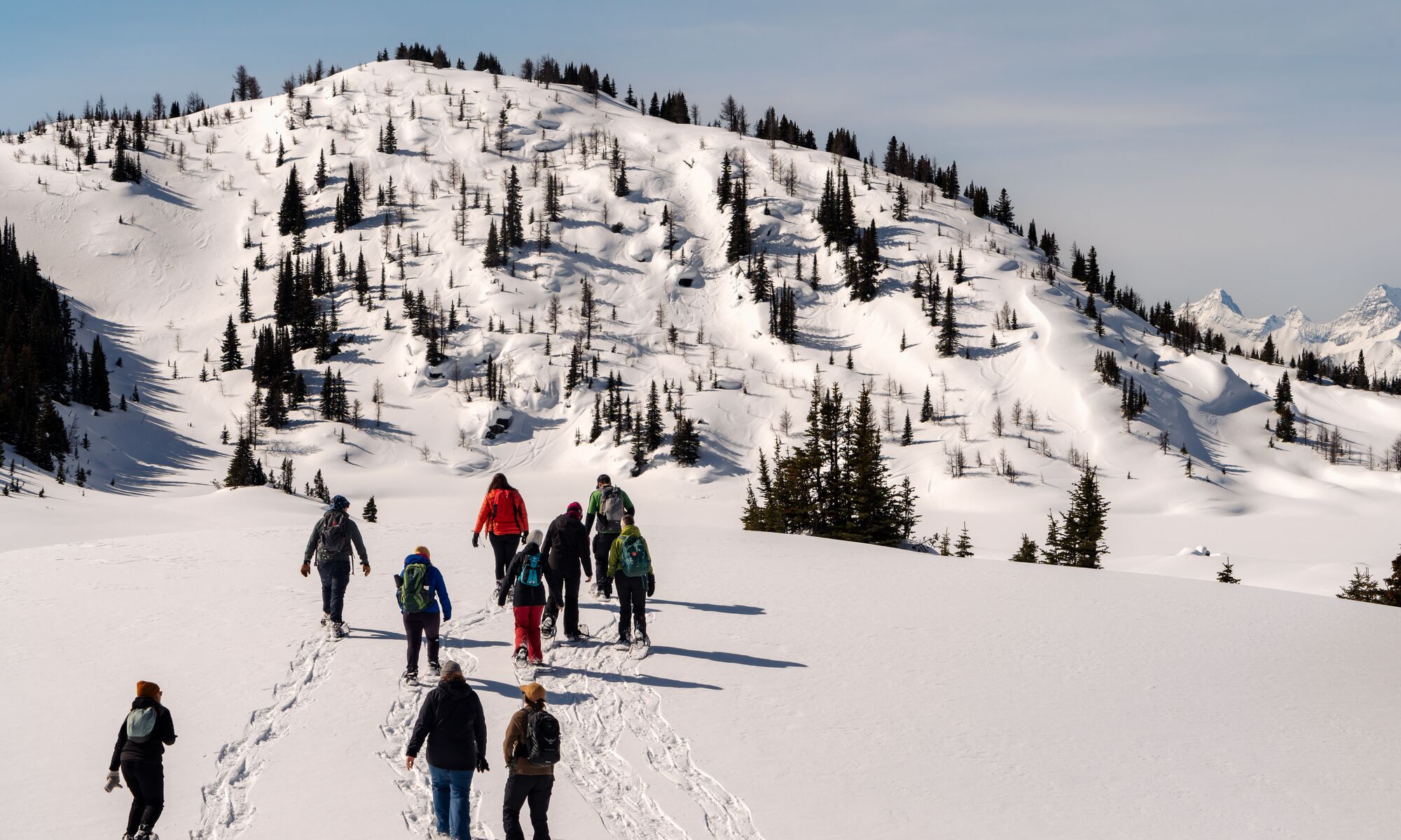 A group of people snowshoeing in the mountains in Banff National Park