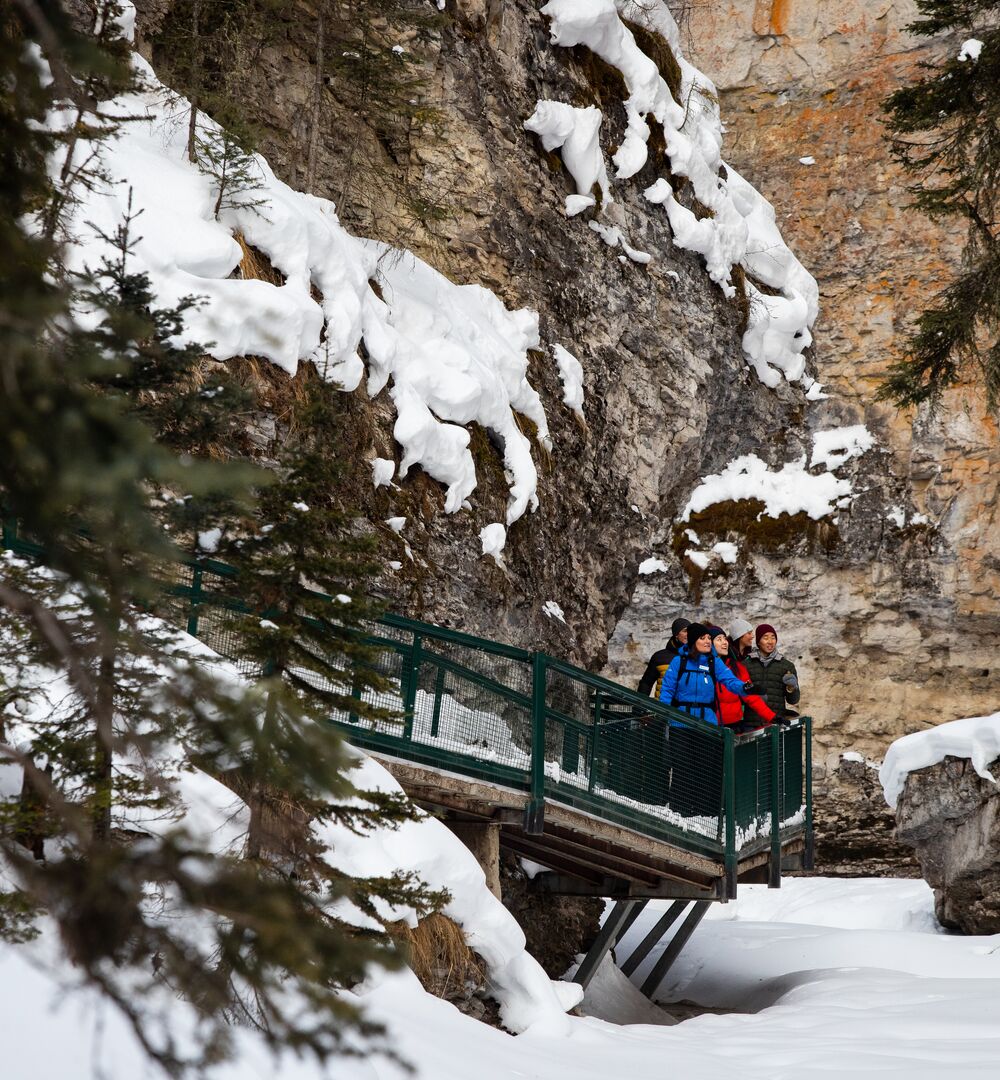 A group of people on a guided winter ice walk at Johnston Canyon