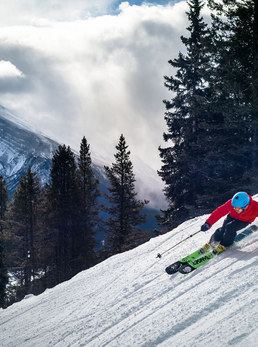 A skier heads down a run at Mt Norquay in Banff National Park with snowy trees and Mount Rundle in the background.