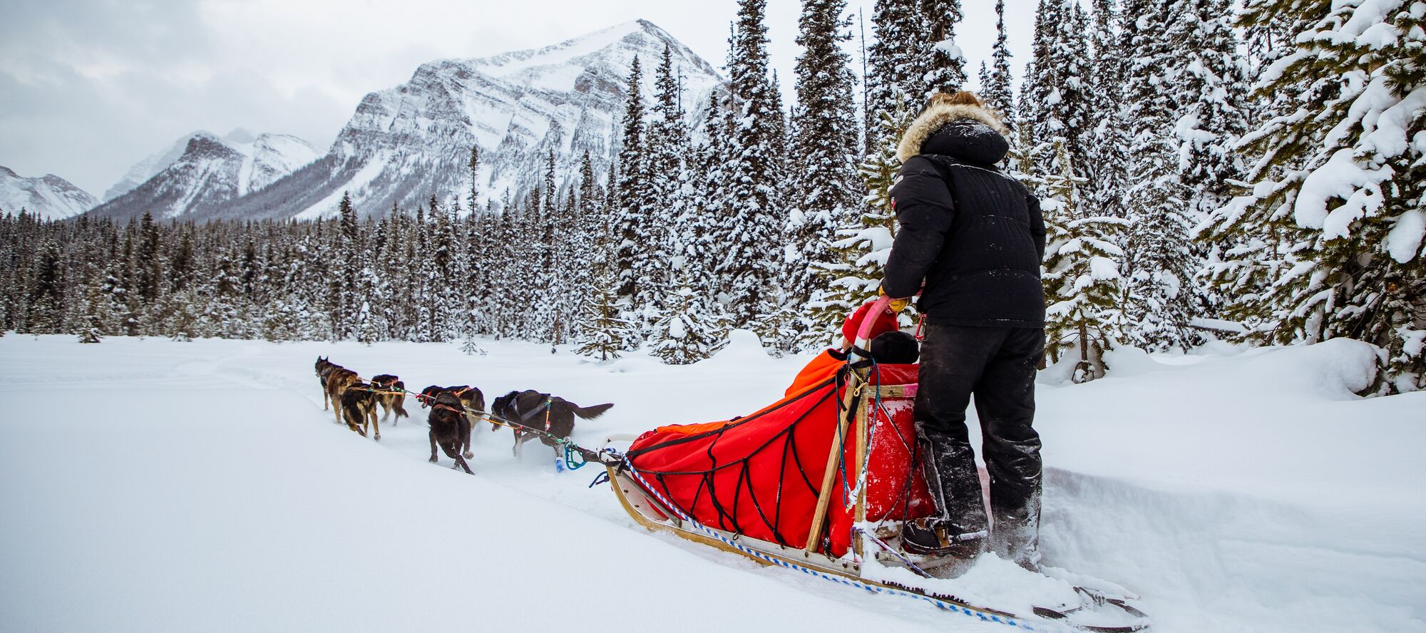 A dogsled tour travels through Lake Louise on a snowy day in Banff National Park